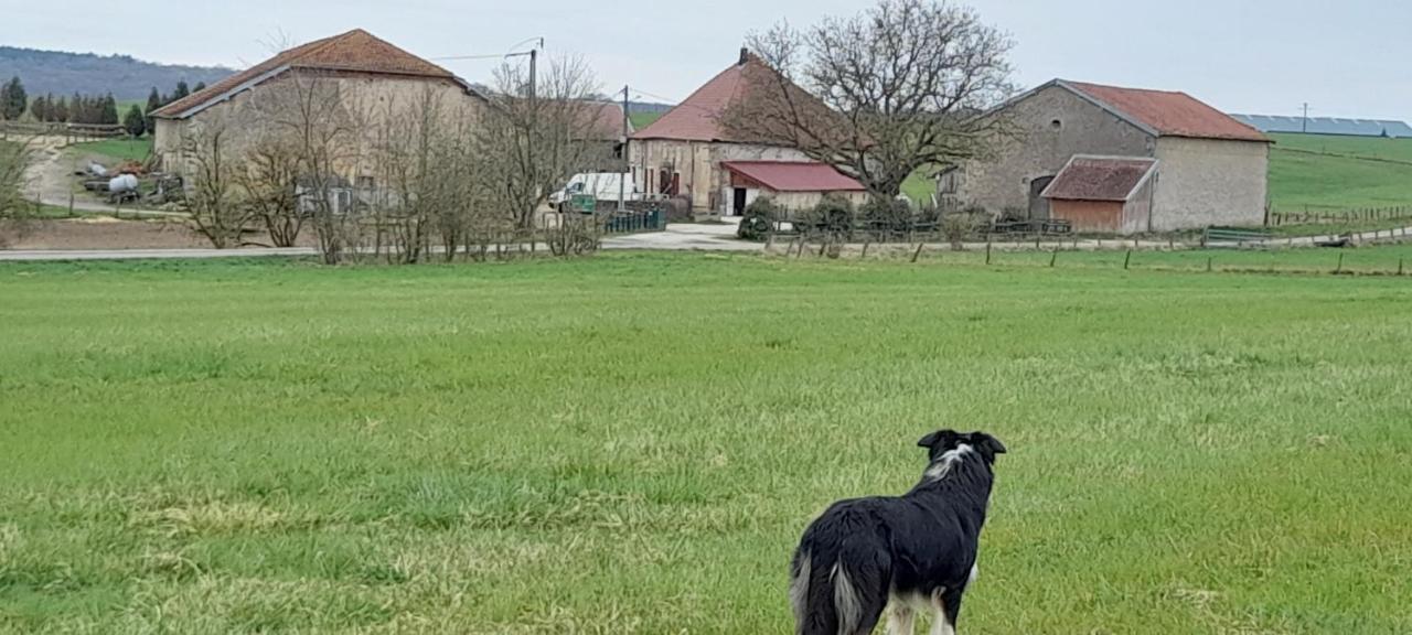 Ferme Des Champs Hotell Vrécourt Eksteriør bilde